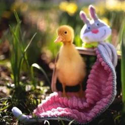 Online HABA Baby Bunny Bundle