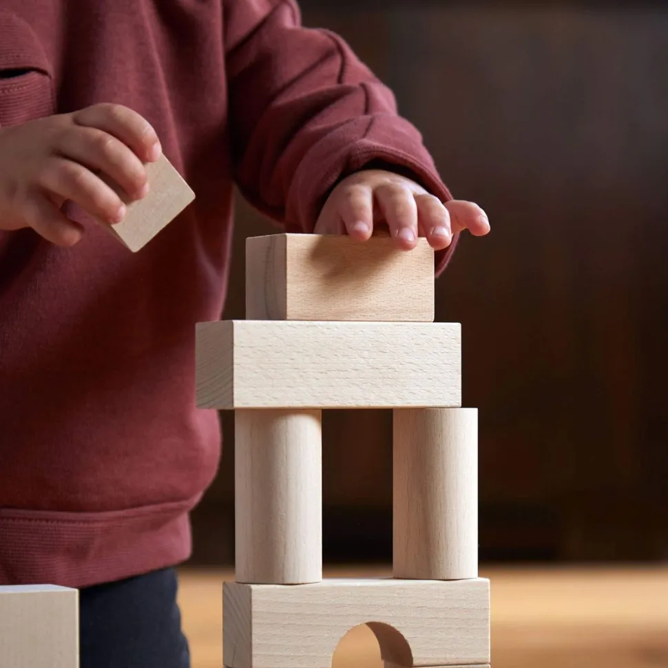 Hot HABA Basic Building Blocks 60 Piece Large Starter Set