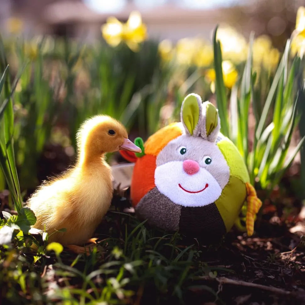 Sale HABA Soft Bunny Ball With Rattling Effects