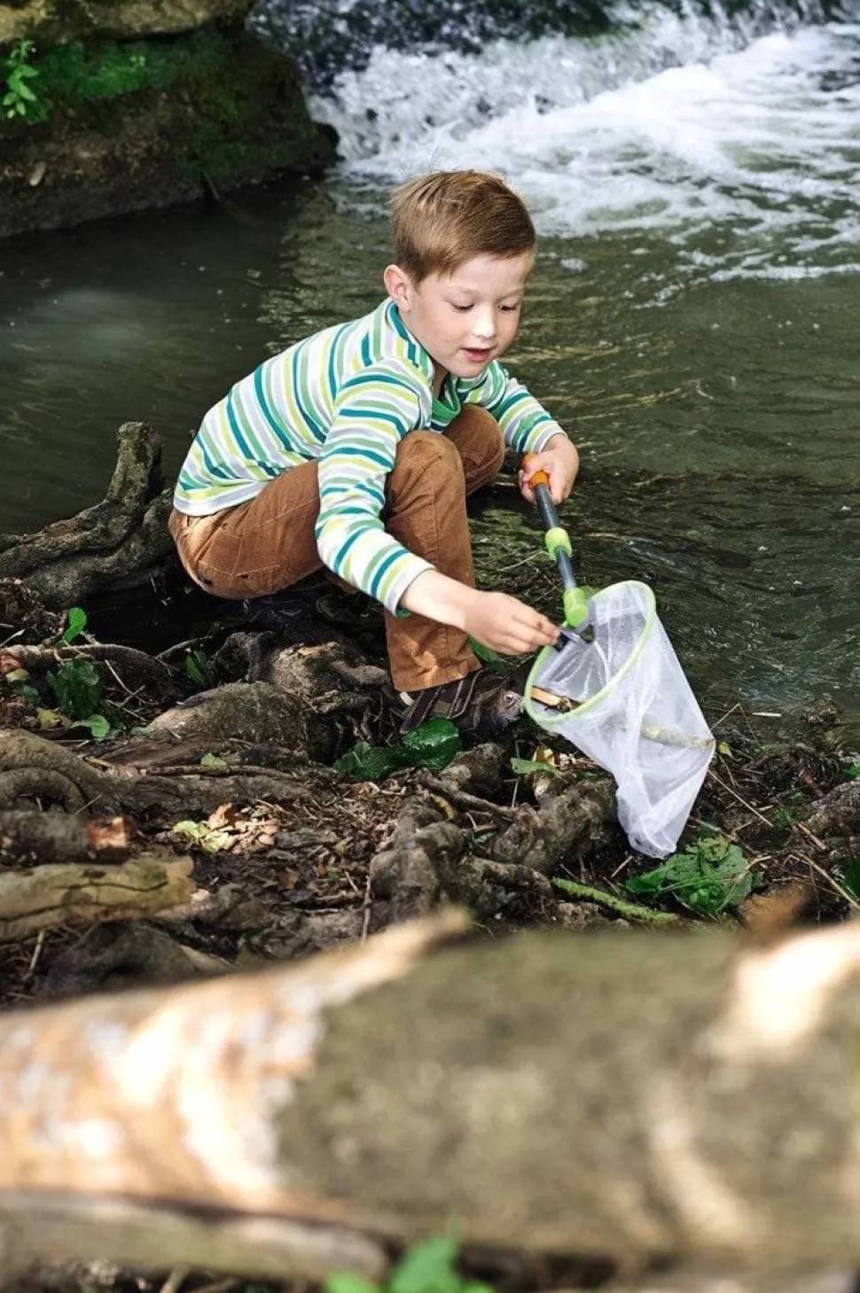 Cheap HABA Terra Kids - Scoop Net With Adjustable Handle