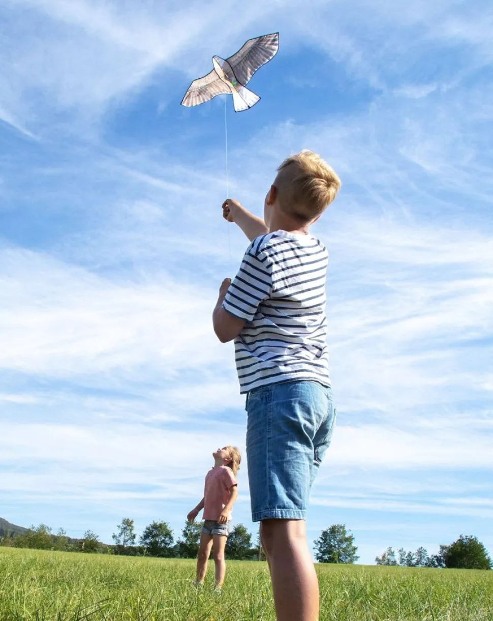 Outlet HABA Terra Kids Bald Eagle Kite