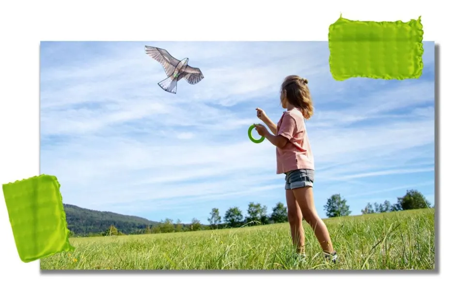 Outlet HABA Terra Kids Bald Eagle Kite