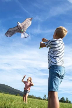 Outlet HABA Terra Kids Bald Eagle Kite