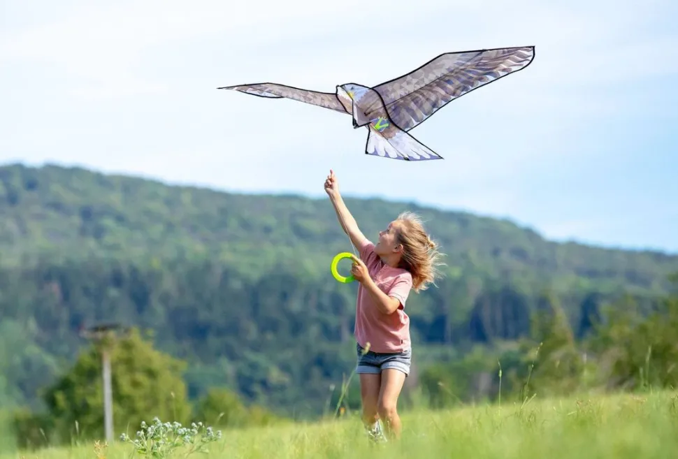 Fashion HABA Terra Kids Bald Eagle Kite