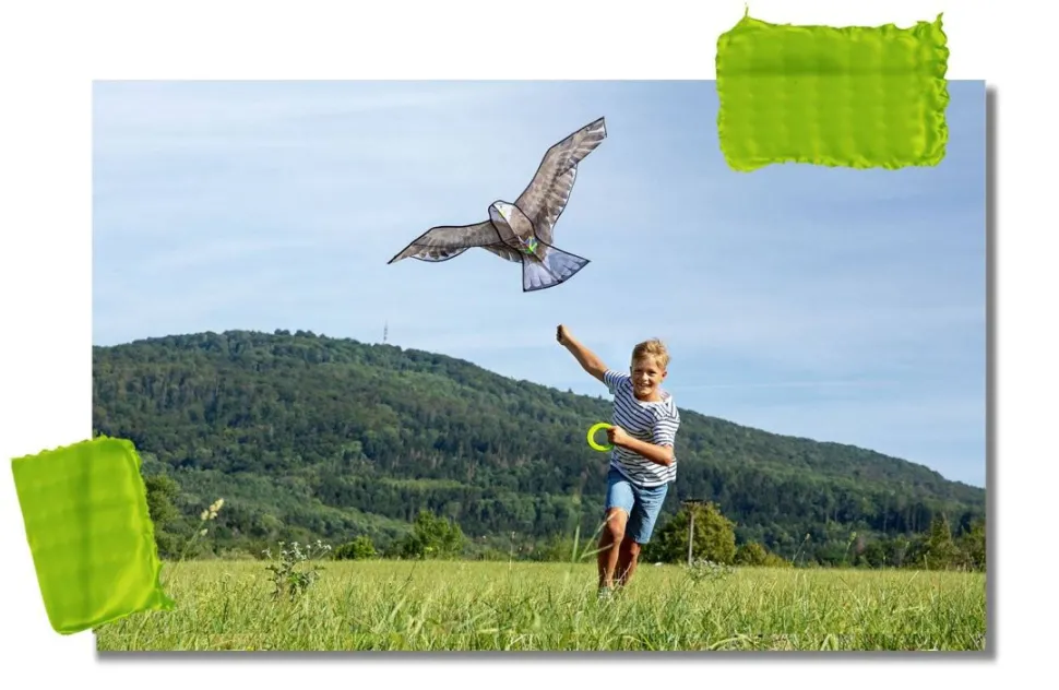 Fashion HABA Terra Kids Bald Eagle Kite