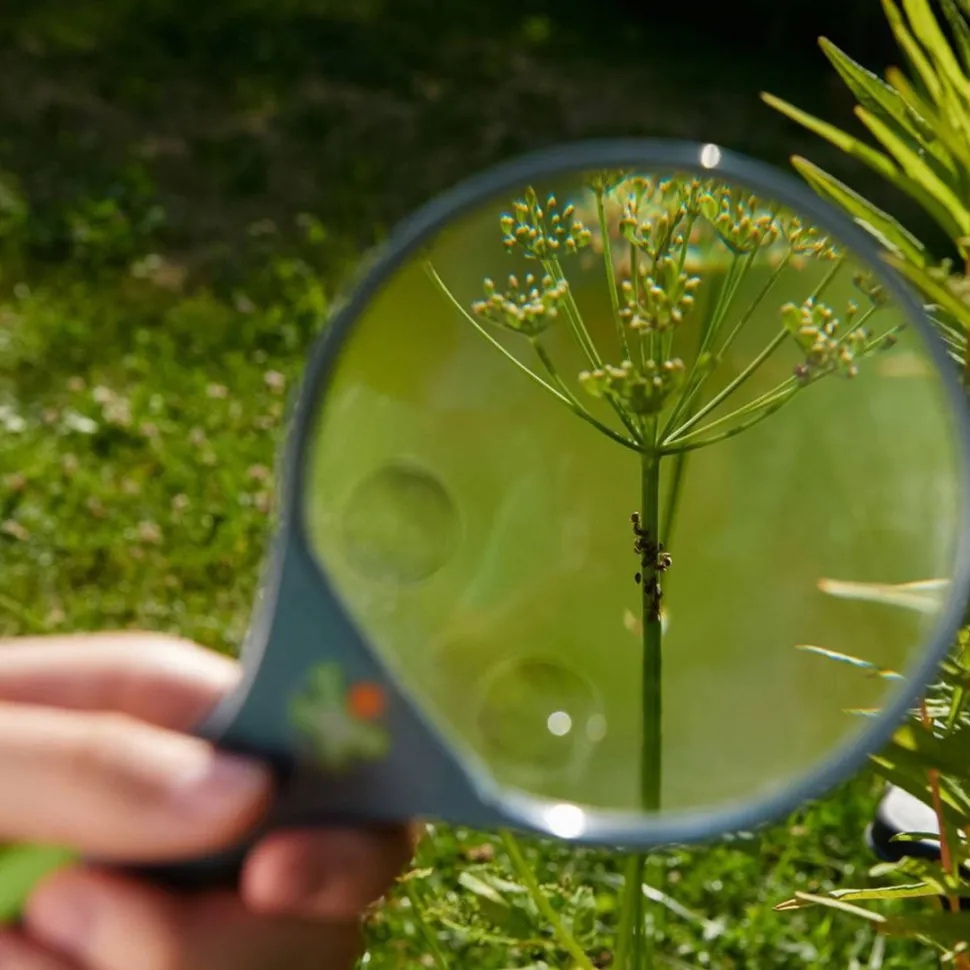 Clearance HABA Terra Kids Magnifier