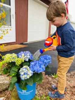 Cheap HABA Watering Can (1 Liter)