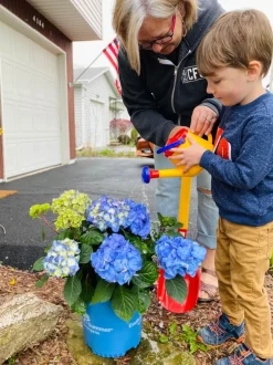 Cheap HABA Watering Can (1 Liter)